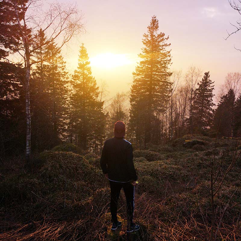 pexels olav steine 2016566